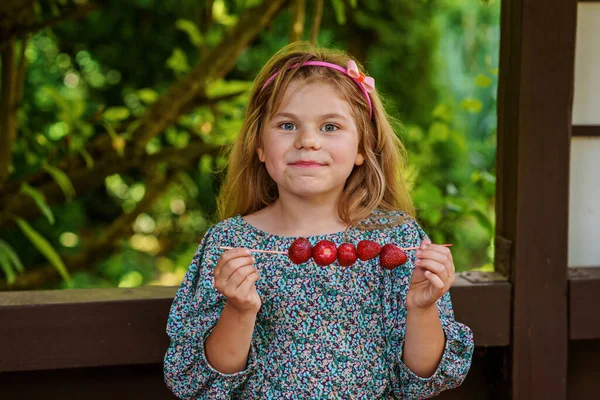 小さな女の子は串焼きにおいしいイチゴを食べ 家族や健康的な食べ物の簡単な楽しみを保存します 幸せな就学前の子供は新鮮な果実を食べる — ストック写真