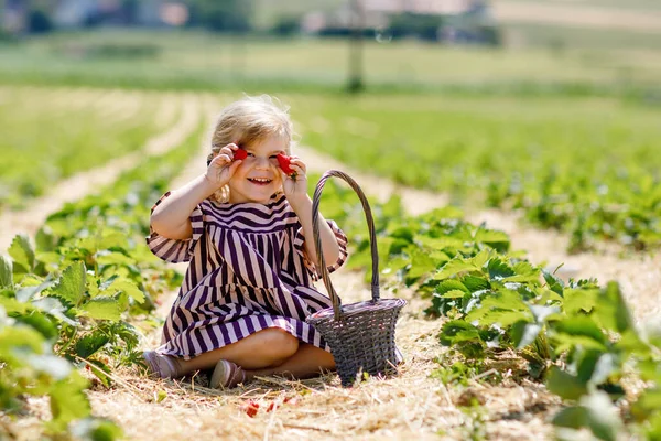 夏天的晴天 快乐的小女孩在有机浆果农场采摘和吃着健康的草莓 孩子有乐趣的帮助 草莓种植园里的孩子成熟的红莓 — 图库照片