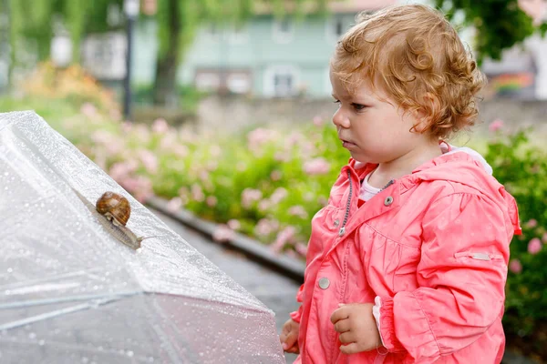 Jolie Adorable Petite Fille Découvrant Escargot Sur Une Promenade Beau — Photo