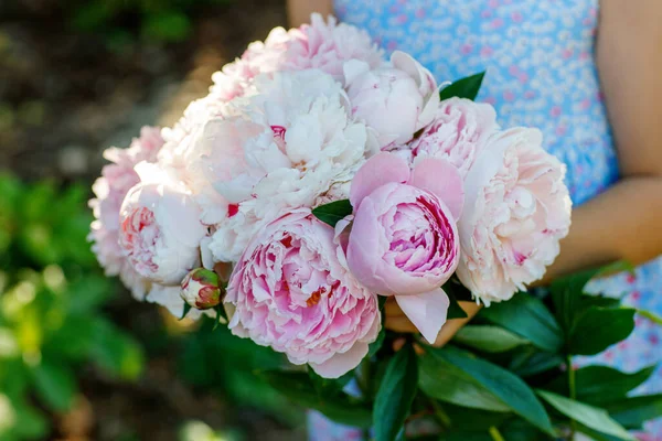 Roztomilá Roztomilá Malá Školačka Obrovskou Kyticí Kvetoucích Růžových Pivoňkových Květů — Stock fotografie