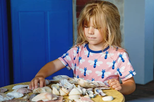 Pequena Menina Pré Escolar Com Variação Diferentes Conchas Amêijoas Casa — Fotografia de Stock