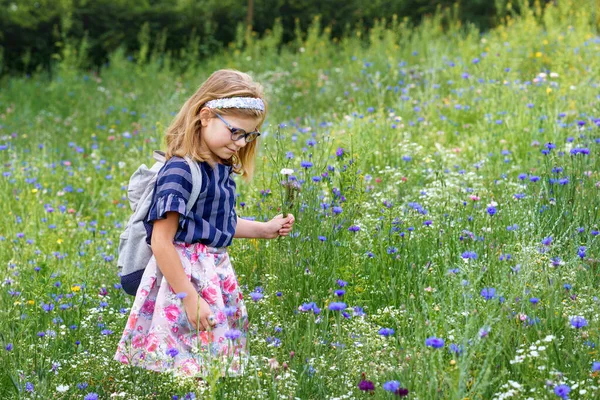Petite Fille Âge Préscolaire Sur Terrain Avec Différentes Fleurs Joyeux — Photo