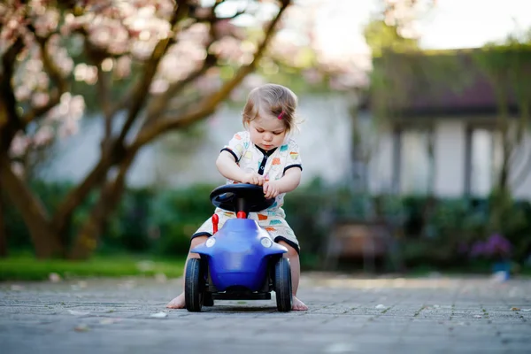 かわいい赤ちゃん女の子の家や保育園の庭でブルーの小さなおもちゃの車で遊んでいます 愛らしい美しい幼児児の背景に開花マグノリア 子供を持つアクティブ ゲーム アウトドア — ストック写真