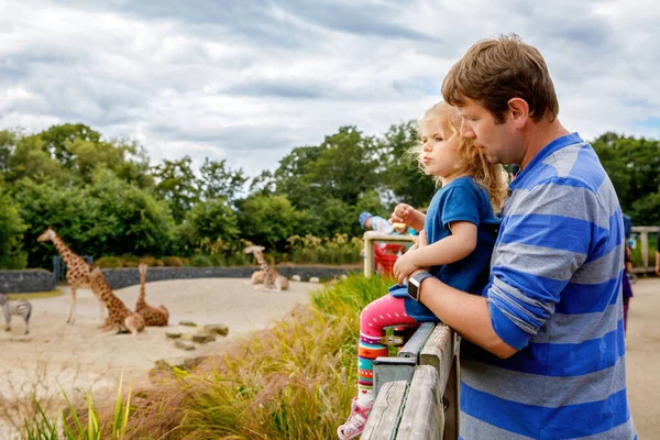 かわいいかわいい幼児の女の子と父親は動物園でキリンを見て食べます 幸せな赤ちゃんの子供 娘とお父さん 暖かい夏の日に動物サファリパークと一緒に楽しんでいる家族 アイルランド — ストック写真
