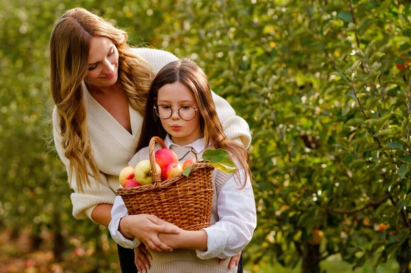 Chica Escuela Feliz Hermosa Madre Con Manzanas Rojas Huerto Orgánico —  Fotos de Stock