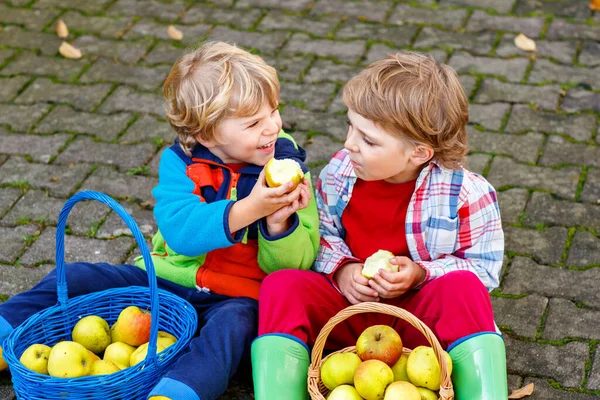 Dva Roztomilí Malí Kluci Jedí Jablka Zahradě Venku Vlastní Sklizeň — Stock fotografie