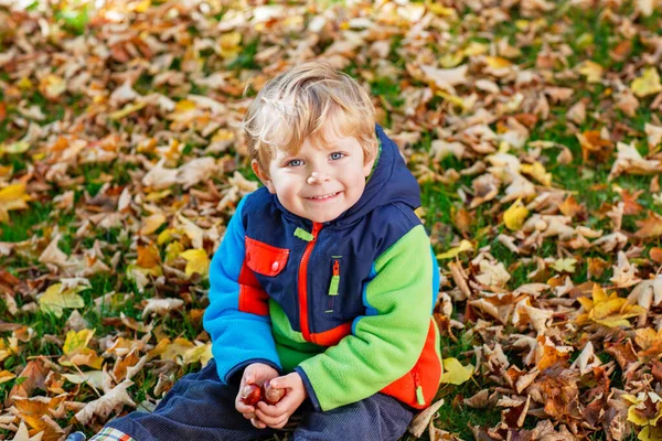 Netter Kleiner Junge Der Draußen Mit Ahornblättern Spielt Glückliches Kind — Stockfoto