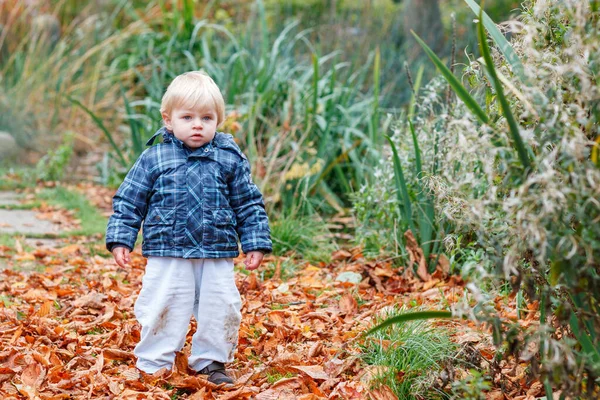 Menino Bonito Brincando Com Folhas Bordo Livre Criança Feliz Andando — Fotografia de Stock