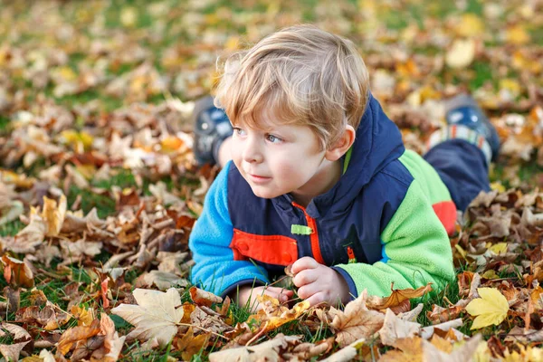 可爱的小男孩在外面玩枫叶 快乐的孩子在秋天的公园里散步 蹒跚学步的小男孩穿着时髦的夹克 微笑的金发男孩肖像画 秋天的时尚 外面是时髦的孩子 — 图库照片