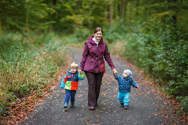 若い母親と2人の小さな子供秋の森 自然の中でアクティブな家族の時間 秋の日に小さな子供たちと楽しい 森の中を歩くお母さんと幼児の男の子 — ストック写真