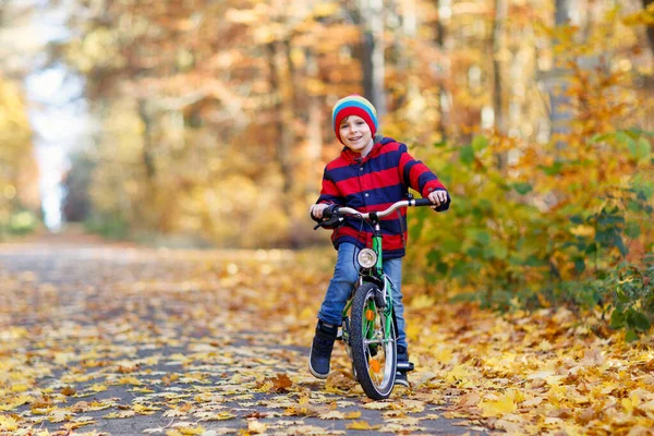 秋の森公園で自転車を運転するカラフルな暖かい服の小さな子供の男の子 自然の中で晴れた秋の日にアクティブな子供のサイクリング 安全性 スポーツ 子供の概念を持つレジャー — ストック写真