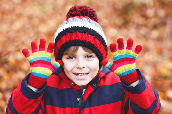 秋天树叶背景的快乐可爱的小男孩的画像 穿着五彩斑斓的衣服 有趣的孩子在秋天的森林或公园里玩得很开心 在时尚和彩色手套中微笑的孩子 — 图库照片