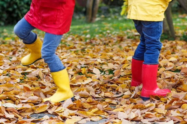 在红色和黄色橡胶靴子在彩雨外套和衣服秋天公园玩耍的两个小孩 孩子腿在鞋跳舞和散步通过秋天秋天的叶子和叶子的特写 — 图库照片