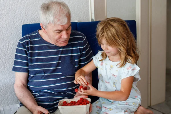Grandpa And Granddaughter Eating Raspberries At Home. Happy Preschool Girl And Senior Man Having Fun Together. Child And Grandfather, Family Time
