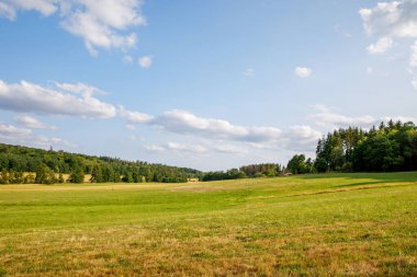 Hesse, Almanya 'daki Hoherodskopf volkan bölgesinin manzarası. Bulutlu, güneşli yaz gününde çayırlar, tepeler, tarlalar ve ormanlar.