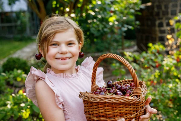庭で美しい女の子 チェリーを持ったハッピーガール 熟したベリーと楽しいチェリーイヤリングでいっぱいのバスケットを持つプレスコールの子供 — ストック写真