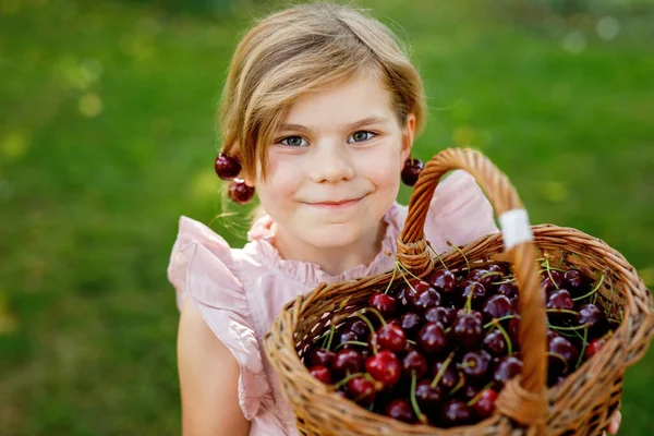 庭で美しい女の子 チェリーを持ったハッピーガール 熟したベリーと楽しいチェリーイヤリングでいっぱいのバスケットを持つプレスコールの子供 — ストック写真
