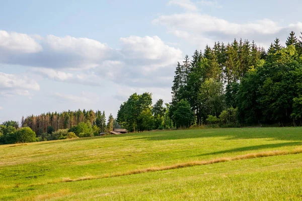德国黑森火山地区霍赫罗德斯科普夫的风景 在多云 阳光灿烂 温暖的夏日 田野和森林 — 图库照片