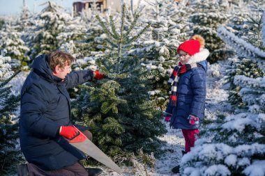 Mutlu küçük kız ve baba Noel ağacını deviriyor. Anaokulu çocuğu babasıyla, köknar kesme çiftliğinde genç bir adam. Ormanda kendi Noel ağacını seçip, kesip, devirmek. Almanya geleneği.