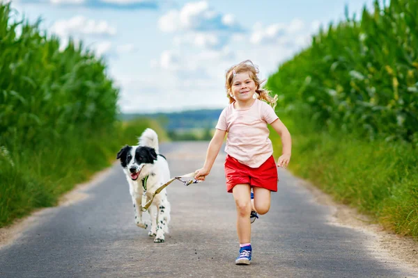幼稚园快乐女孩带着狗在大自然上奔跑在阳光灿烂的夏日 积极的微笑的孩子和最好的宠物朋友 家庭动物和儿童 爱和友谊 — 图库照片#