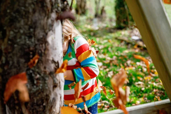 Retrato Queda Pequena Menina Pré Escolar Parque Outono Dia Outubro — Fotografia de Stock