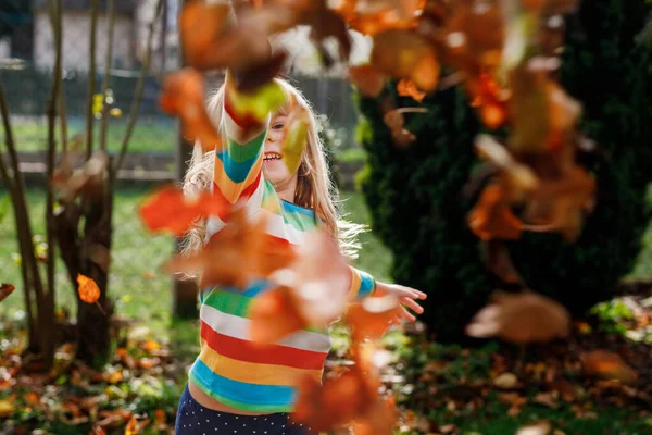 Retrato Queda Pequena Menina Pré Escolar Parque Outono Dia Outubro — Fotografia de Stock