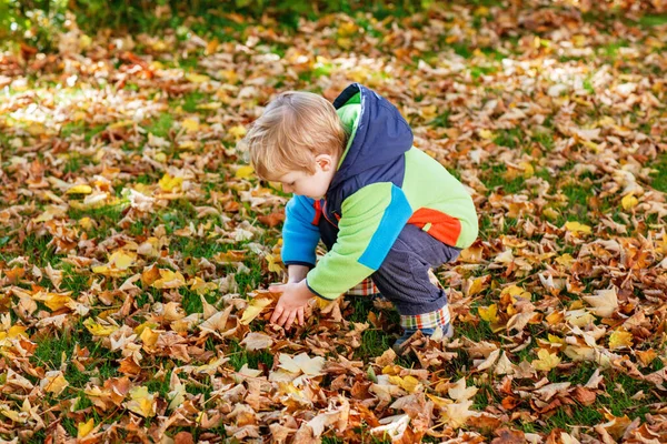 Χαριτωμένο Αγοράκι Που Παίζει Φύλλα Σφενδάμου Στην Ύπαιθρο Ευτυχισμένο Παιδί — Φωτογραφία Αρχείου