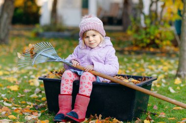 Sonbahar bahçesinde ya da parkta tırmıkla çalışan küçük bir kız. Sevimli mutlu sağlıklı çocuk ağaçtan düşen yapraklara yardım ederek eğleniyor. Açık havada sevimli bir yardımcı. Çocuk öğrenme ebeveynlere yardım.