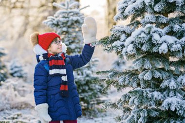 Small girl playing with snow. Happy preschool child in winter forest on snowy cold december day