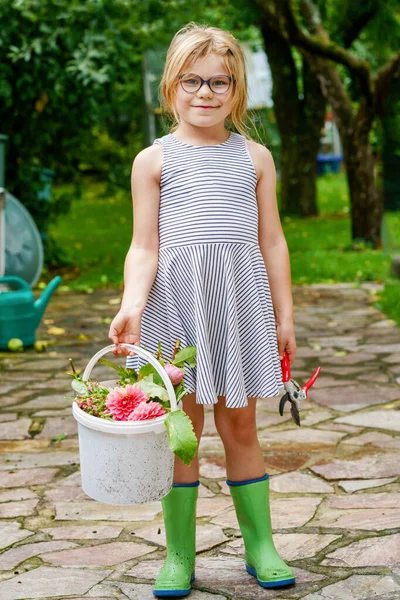 Kleines Mädchen Schneidet Dahlienblüten Nettes Glückliches Kind Mit Eimer Mit — Stockfoto