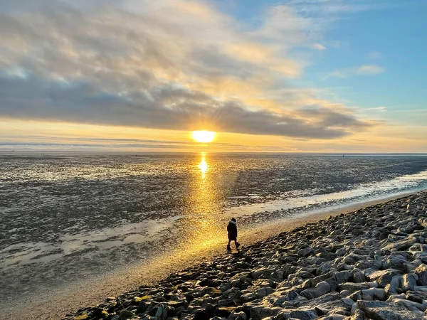 Cheerful Little Girl Walking Searching Shells Beach North Sea Low — Zdjęcie stockowe