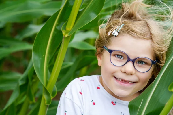 Portret Szczęśliwej Dziewczynki Ukrywającej Się Polu Wśród Zielonych Łodyg Kukurydzy — Zdjęcie stockowe