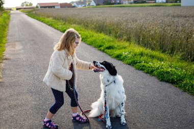 Küçük anaokulu kızı köpeğiyle yürüyor. Yazın sonlarında doğada, tarlalarda ve ormanlarda sevimli bir çocuk ve evcil hayvan. Çocuk ve köpek arasındaki sevgi ve arkadaşlık. Birlikte eğleniyoruz.