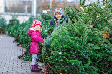 İki küçük kardeş kız ve çocuk Noel ağacını markette tutuyorlar. Kışın moda kıyafetleri içinde mutlu çocuklar açık hava dükkanından Noel ağacı seçip alıyorlar. Aile, gelenek, kutlama.