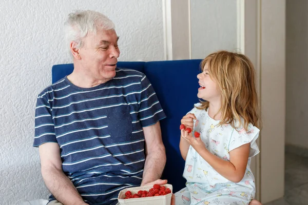Grandpa And Granddaughter Eating Raspberries At Home. Happy Preschool Girl And Senior Man Having Fun Together. Child And Grandfather, Family Time