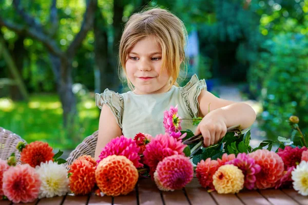 小さな幼稚園の少女がダリアの花束を作る 幸せな子供とカラフルな庭の夏の花のクローズアップが配置されています 虹色の花のクローズアップ — ストック写真