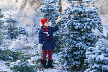 Small girl playing with snow. Happy preschool child in winter forest on snowy cold december day