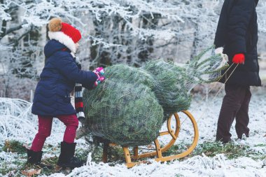 Mutlu küçük kız ve baba Noel ağacını kızakla itiyorlar. Anaokulu çocuğu babasıyla, köknar kesme çiftliğinde genç bir adam. Ormanda kendi Noel ağacını seçip, kesip, devirmek. Almanya geleneği,