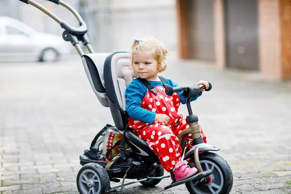 Милая Очаровательная Девочка Сидящая Толкающем Велосипеде Трехколесном Велосипеде Маленький Ребенок — стоковое фото