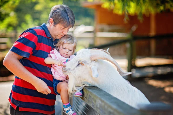 かわいいかわいいトッドラーの少女と若い父親は小さなヤギに餌を与え 子供の農場で羊を飼っている 動物園に動物を飼う美しい赤ちゃんの子供 家族の週末の休暇で一緒に男と娘 — ストック写真