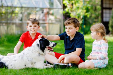 İki çocuk oğlan ve küçük kız bahçede aile köpeğiyle oynuyorlar. Üç çocuk, sevimli kardeşler köpekle eğleniyorlar. Dışarıda mutlu bir aile. Hayvanlar ve çocuklar arasındaki arkadaşlık..
