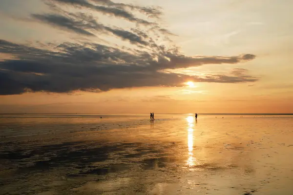 Wattenmeer 德国北海泥滩 诺德赛 日落前的瓦特 — 图库照片