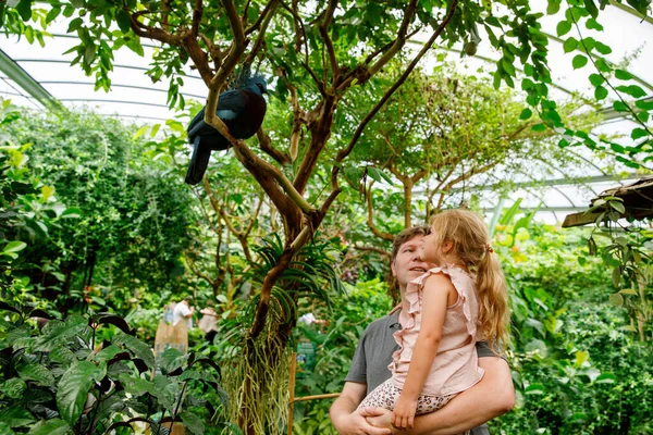 Pai Com Filha Pequena Menina Pré Escolar Bonito Assistindo Pássaros — Fotografia de Stock