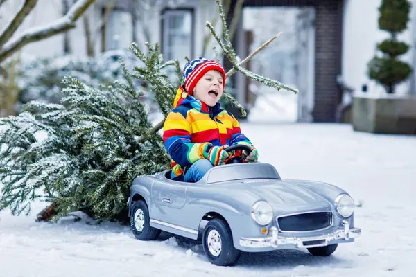 Lustiger Kleiner Lächelnder Junge Der Spielzeugauto Mit Weihnachtsbaum Fährt Glückliches — Stockfoto