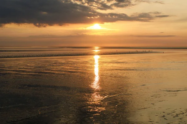 Wattenmeer 德国北海泥滩 诺德赛 日落前的瓦特 — 图库照片