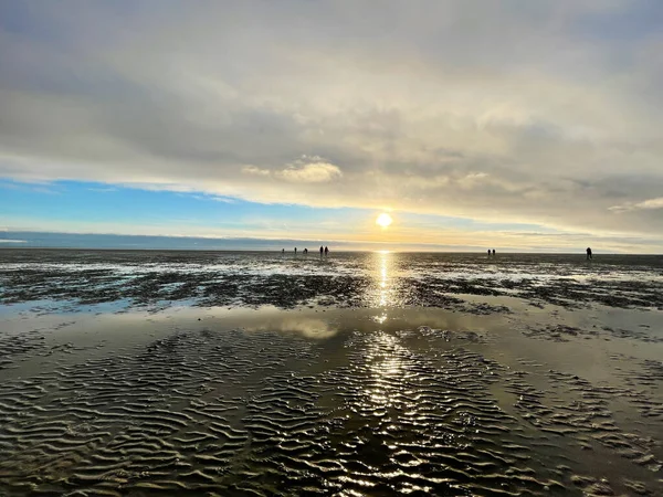 Sea shells on sand. sea waves on the golden sand at beach. Sunset on tropical island, ocean beach