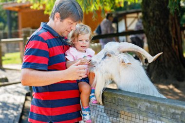 Sevimli küçük kız ve genç baba bir çocuk çiftliğinde küçük keçi ve koyunları besliyor. Hayvanat bahçesinde hayvan besleyen güzel bir bebek. Hafta sonu aile tatillerinde kız ve erkek birlikte.