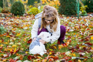 Küçük kız parkta evcil köpeği Maltese ile oynuyor. Mutlu çocuk ve şirin köpek