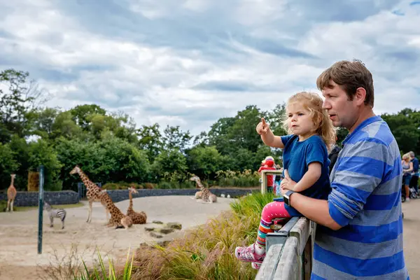 Bonito Adorável Menina Criança Pai Assistindo Alimentando Girafa Zoológico Criança — Fotografia de Stock