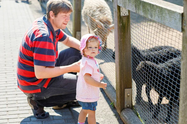 Adorable Niña Linda Padre Joven Alimentando Cabras Ovejas Una Granja — Foto de Stock